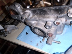 OLYMPUS DIGITAL CAMERA